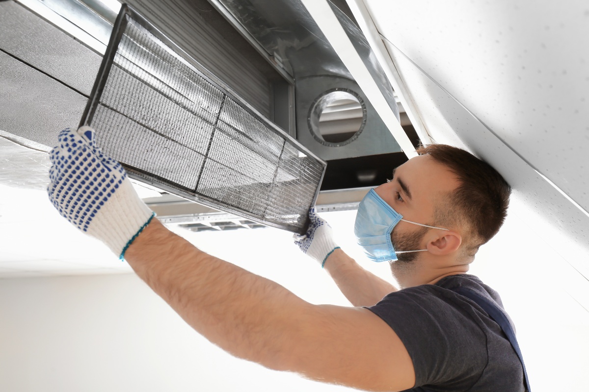 Common Mould Types in Air Ducts