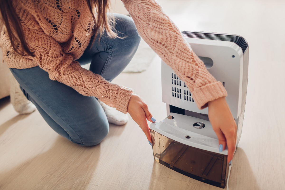 Dehumidifier Buying Guide