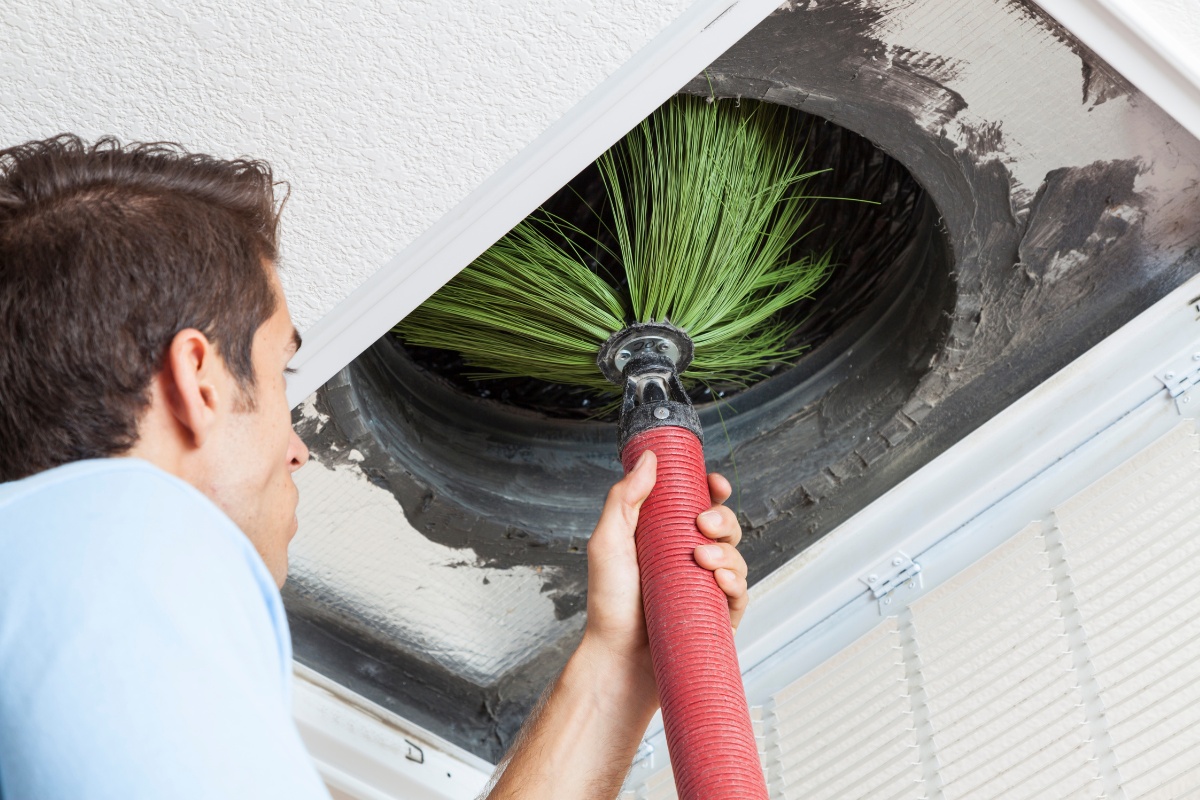 Types of Mould in Air Ducts